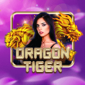 Dragon Tiger live casino on nustar game apk